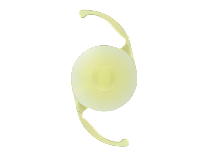 パンオプティクス